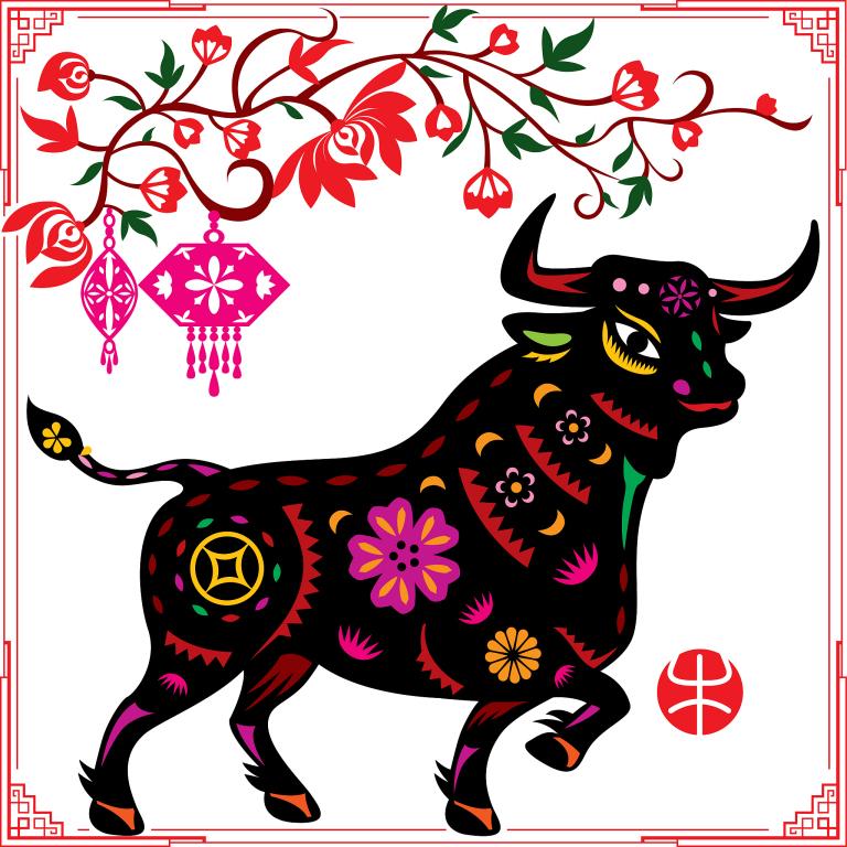 属牛和属龙的可以结婚吗(解析属相配对的秘密)