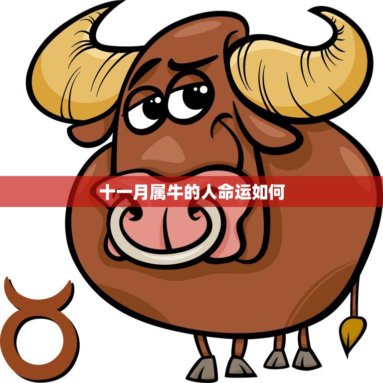 十一月属牛的人命运如何(解析财运亨通还是桃花旺盛)