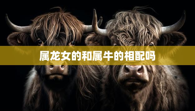属龙女的和属牛的相配吗(星座配对分析)