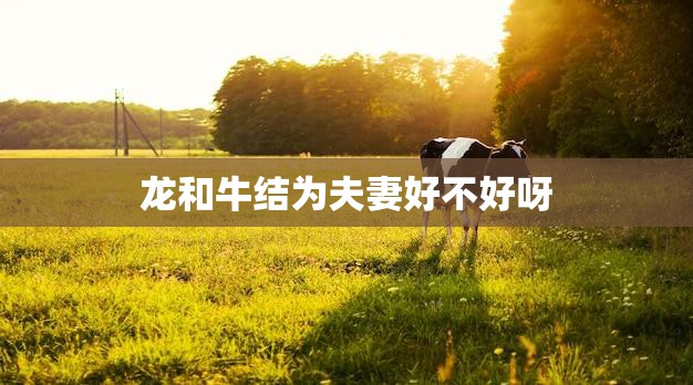 龙和牛结为夫妻好不好呀(探讨十二生肖配对的真相)
