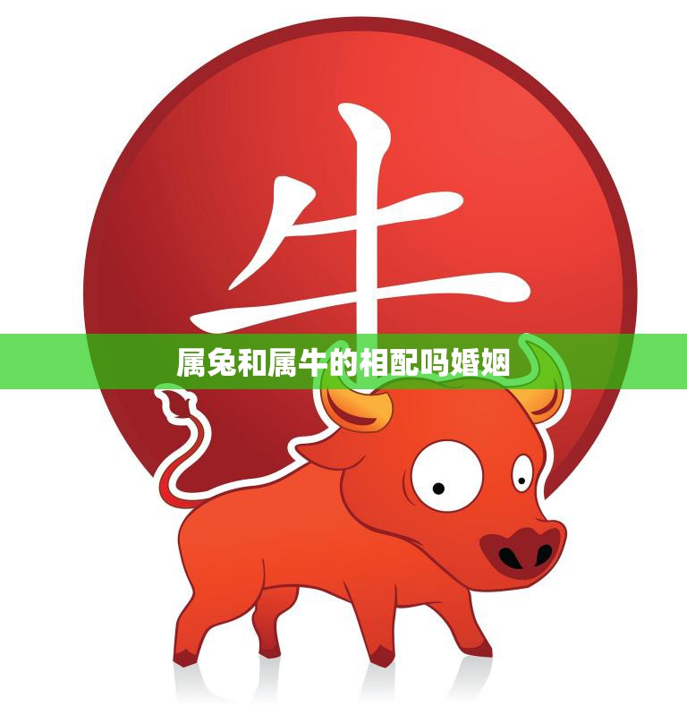 属兔和属牛的相配吗婚姻(星座配对分析)