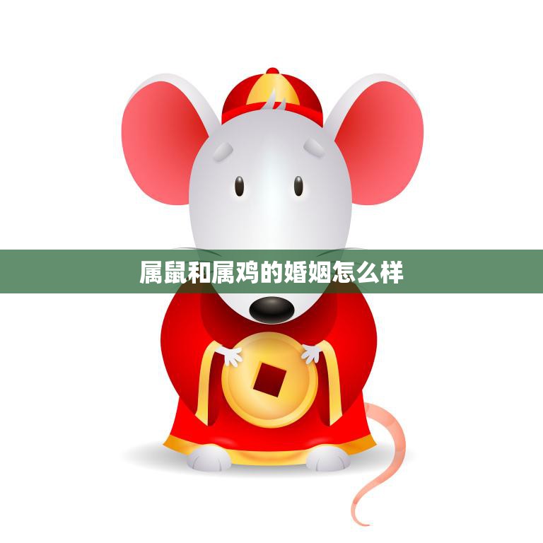属鼠和属鸡的婚姻怎么样(幸福还是矛盾)