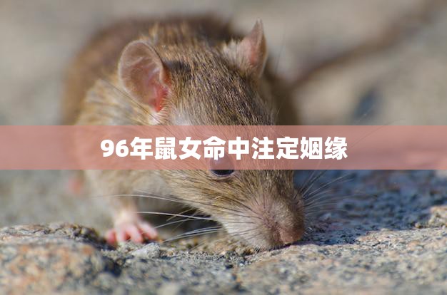 96年鼠女命中注定姻缘(天定良缘缘定一生)