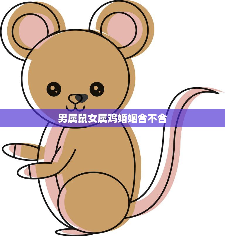 男属鼠女属鸡婚姻合不合(解析缘分与性格的碰撞)