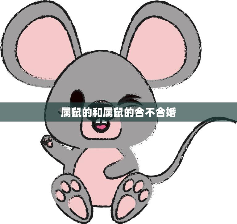 属鼠的和属鼠的合不合婚(如何解决婚姻中的矛盾)