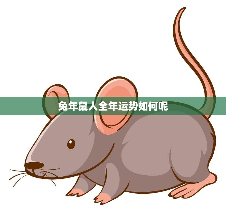 兔年鼠人全年运势如何呢(2023年运势大揭秘)
