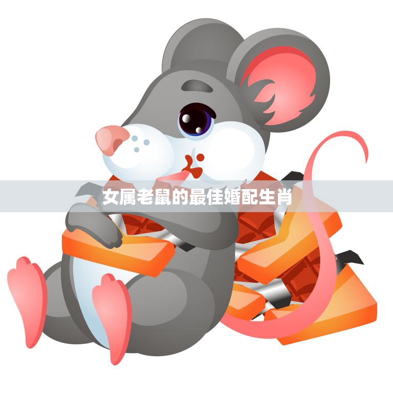女属老鼠的最佳婚配生肖(谁最适合与老鼠女子携手共度一生)
