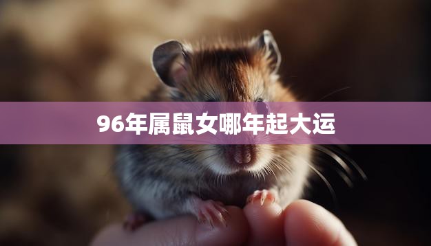 96年属鼠女哪年起大运(解析运势大起大落关键在于大运)