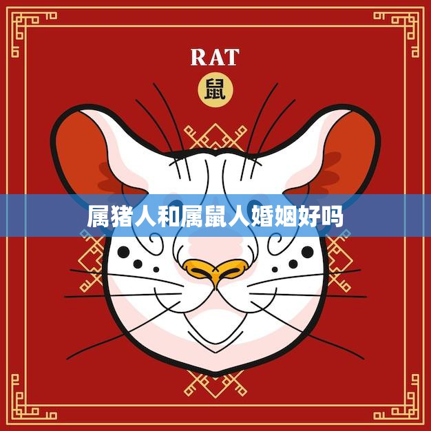 属猪人和属鼠人婚姻好吗(解析属相配对的奥秘)