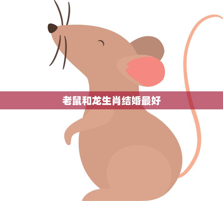 老鼠和龙生肖结婚最好(幸福长久龙马精神)