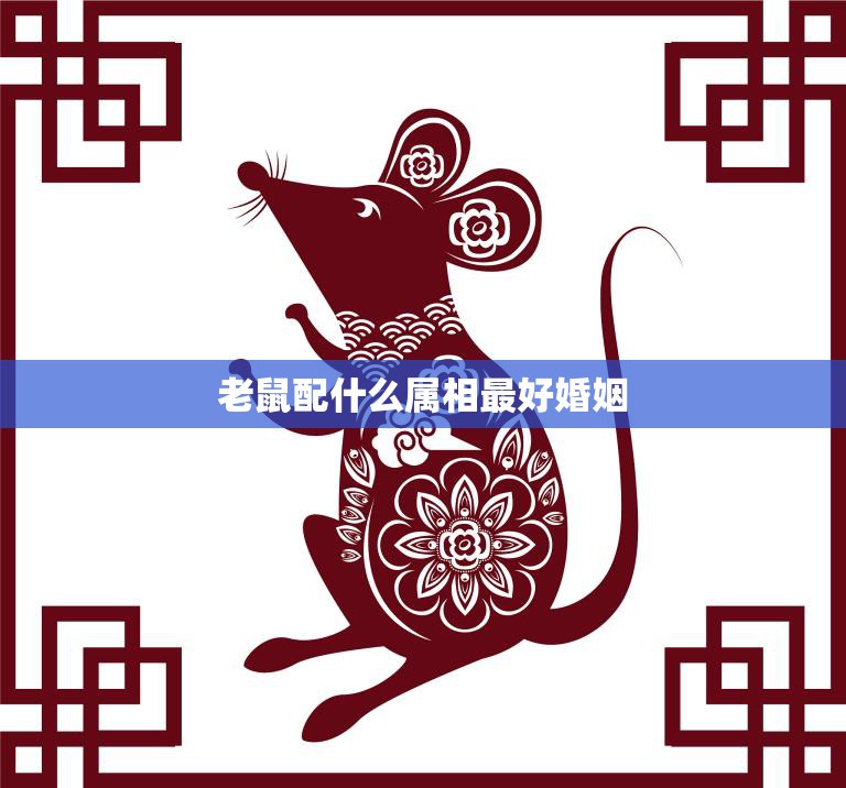 老鼠配什么属相最好婚姻(揭秘十二生肖中最佳配对)