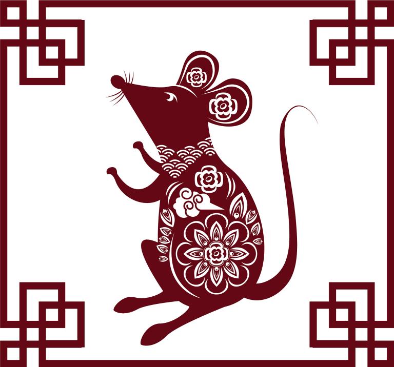 消灭老鼠快速有效的方法(如何快速有效地消灭老鼠)