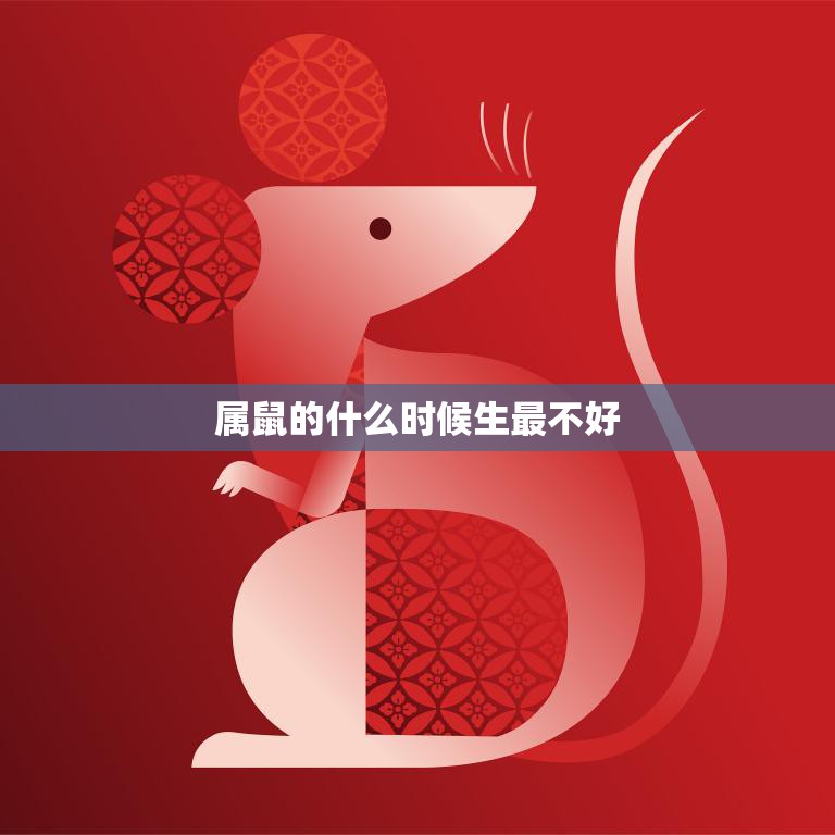 属鼠的什么时候生最不好(揭秘属鼠人的逆境岁月)