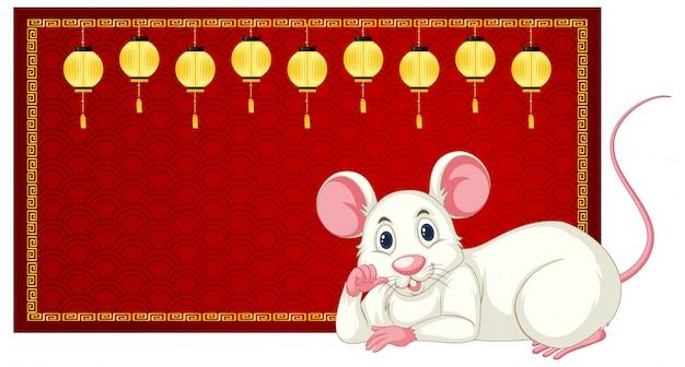 鼠虎最佳夫妻配对是什么(揭秘十二生肖中的完美组合)