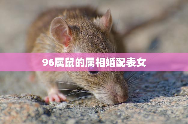 96属鼠的属相婚配表女(如何选择最佳配偶)