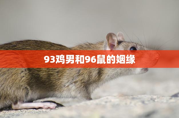 93鸡男和96鼠的姻缘(天作之合缘定一生)