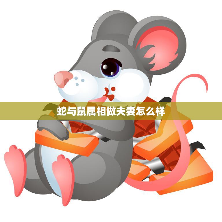 蛇与鼠属相做夫妻怎么样(命运多舛还是完美匹配)