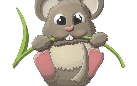72属鼠人五十大运到了(迎接人生新高峰)