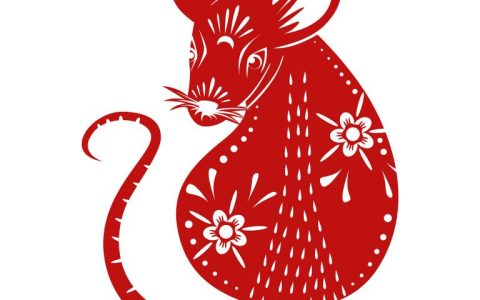 属鼠女最佳婚配属相相克(如何避免婚姻矛盾)