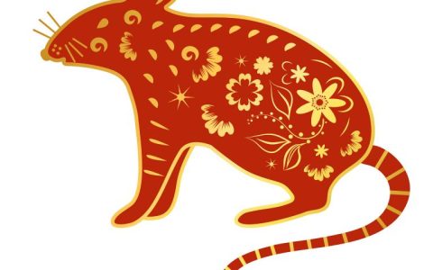 1996属鼠男最佳婚配(如何选择最适合的伴侣)