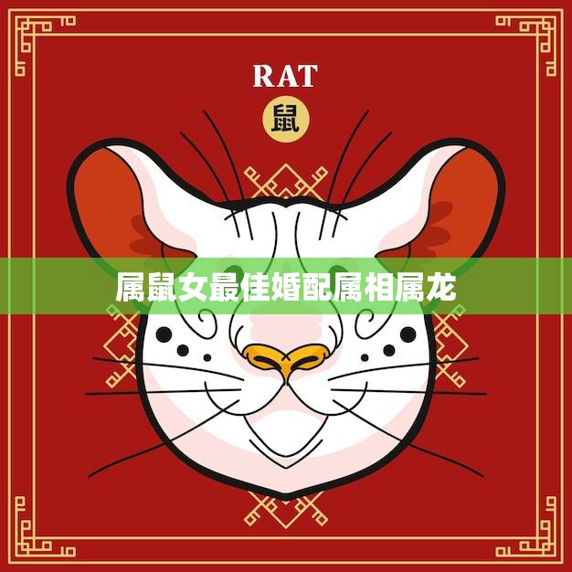 属鼠女最佳婚配属相属龙(完美匹配爱情长跑的秘诀)