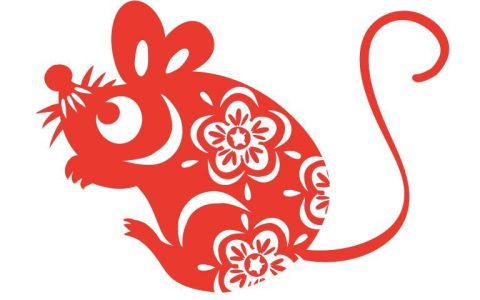 属鼠的今年刑太岁怎么办(如何化解太岁之煞)