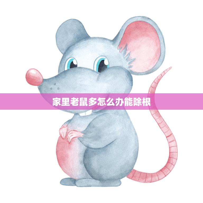 家里老鼠多怎么办能除根(快速有效的老鼠驱除方法)