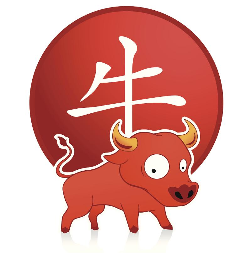 属牛的今年几岁2023(牛年人的年龄计算方法解析)