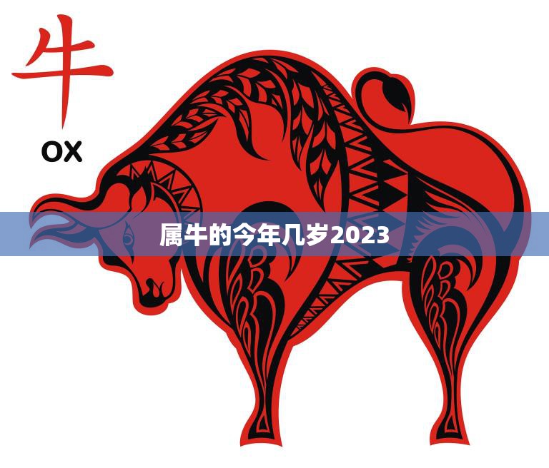 属牛的今年几岁2023(牛年人的年龄计算方法解析)